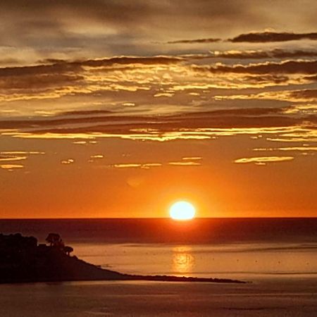 A 50 Metros Del Mar Y En 2 Paradas De Bus Estas En El Centro De Alicante Exteriér fotografie